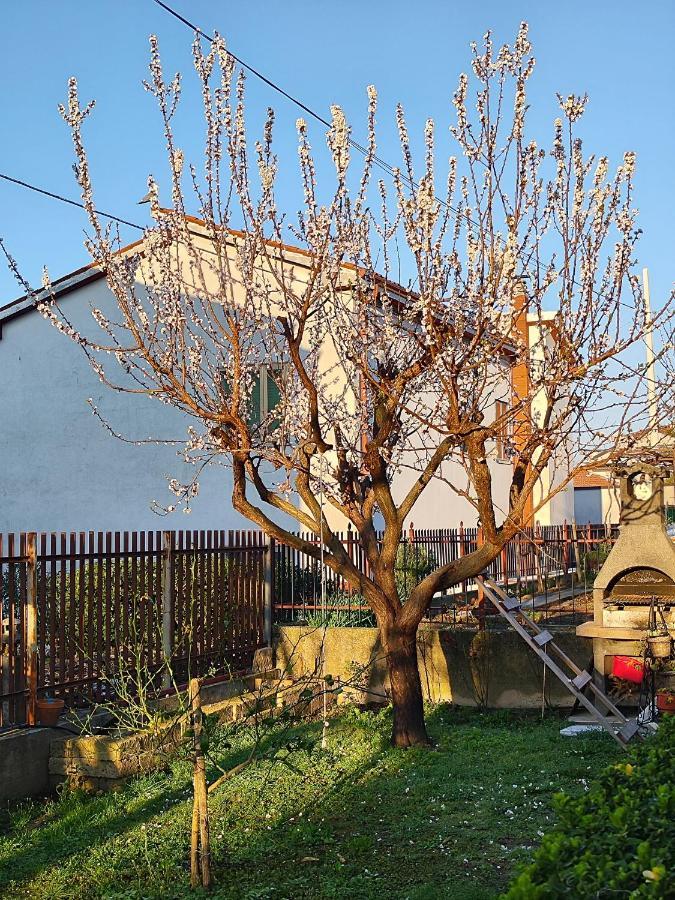 Casa Vacanza Serendipity Home Τεργέστη Εξωτερικό φωτογραφία